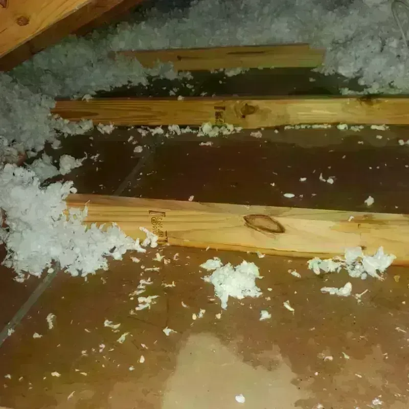 Attic Water Damage in Glendale, AZ