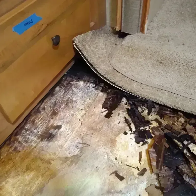 Wood Floor Water Damage in Glendale, AZ